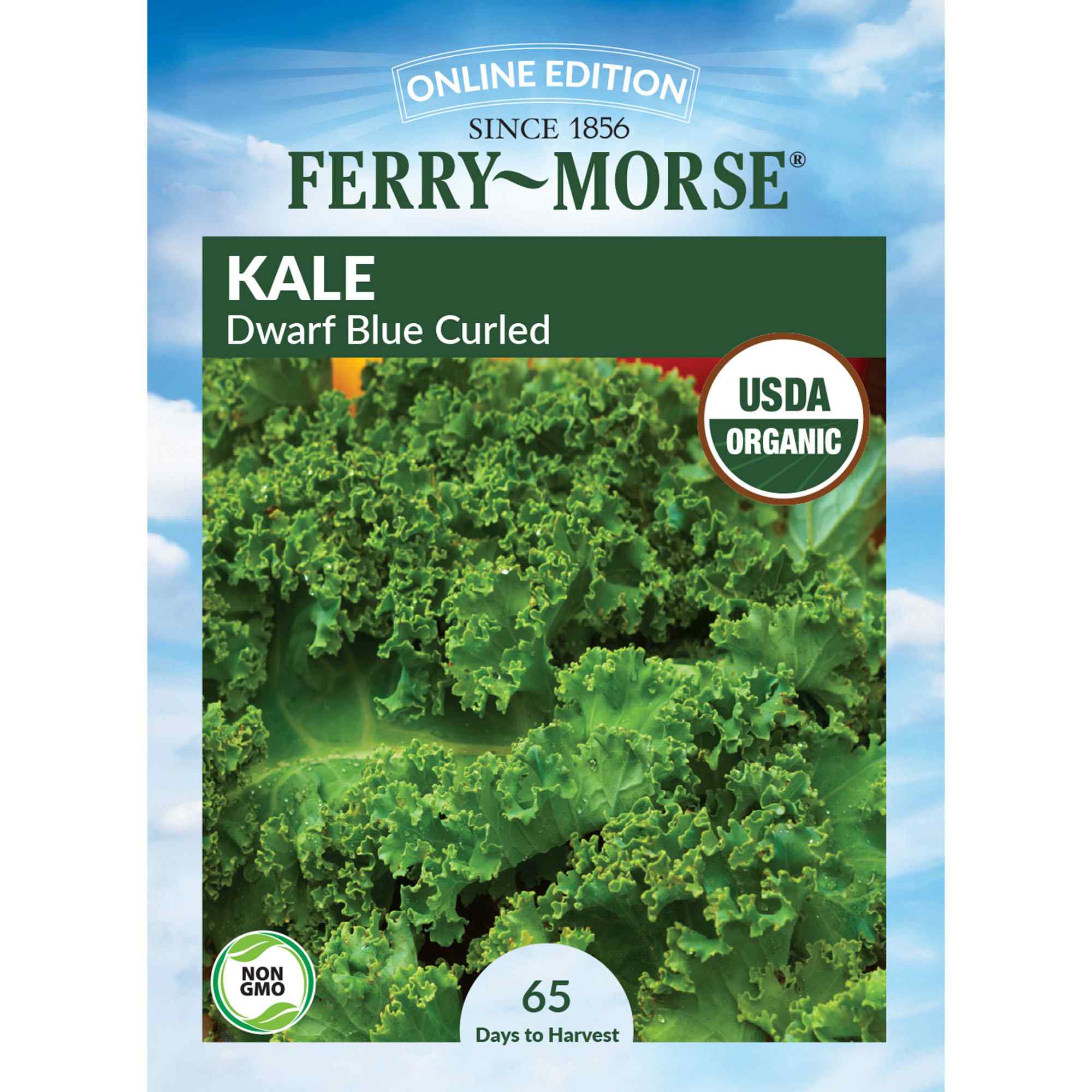 Ferry-Morse kale dwarf blue curled seed packet